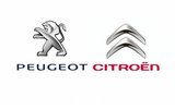 Фото СТО Peugeot &amp; Citroen, Сургут, ул. Инженерная 1